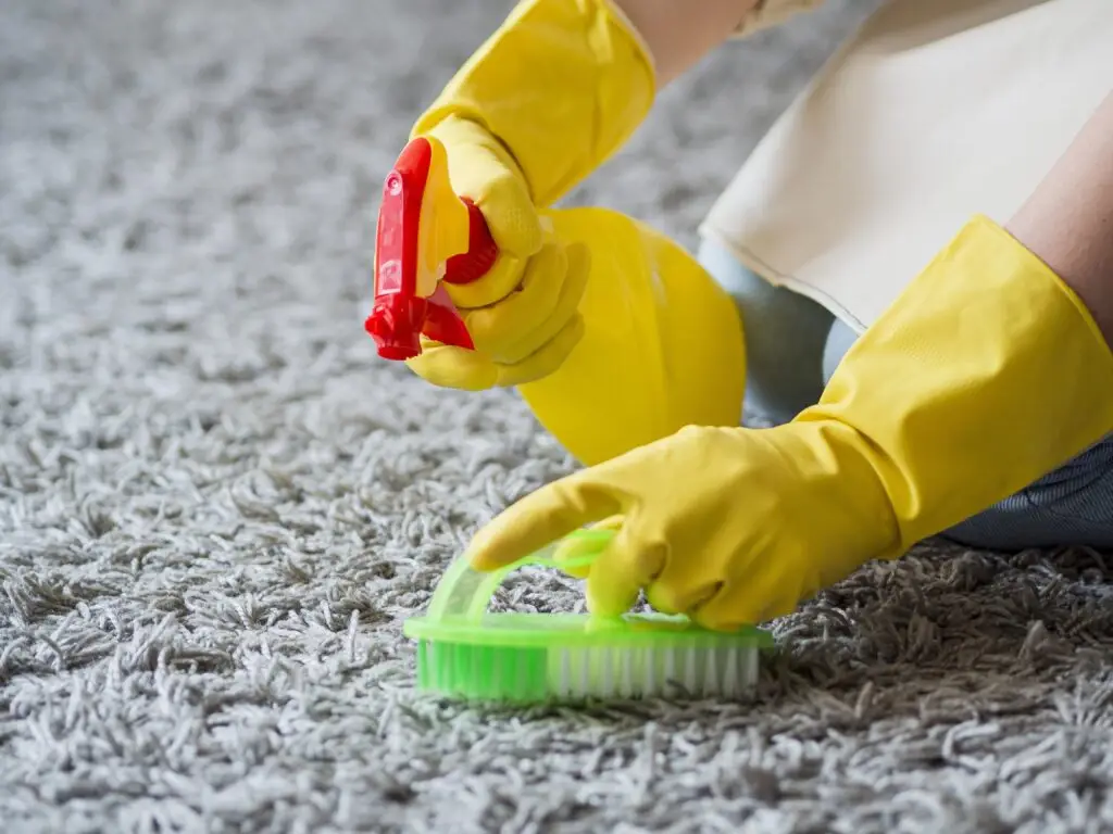 How to Clean a Wool Rug?