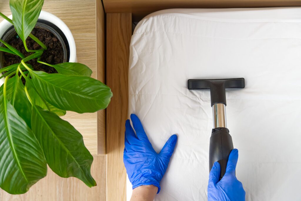 How to Deep Clean Your Room?