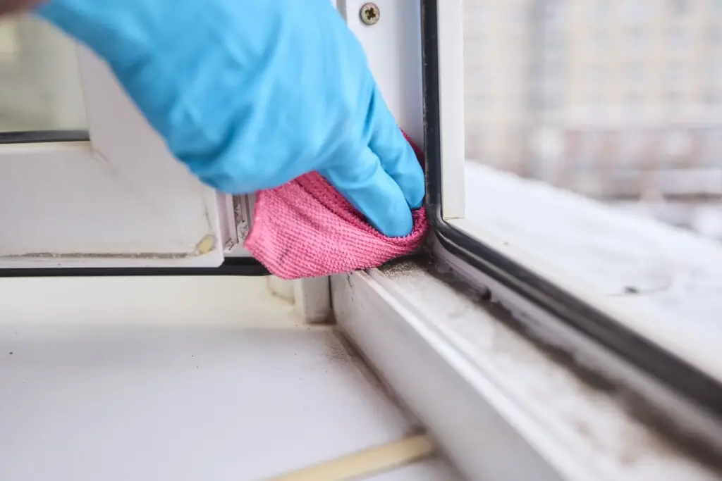 How to Clean Window Tracks Like a Professional?