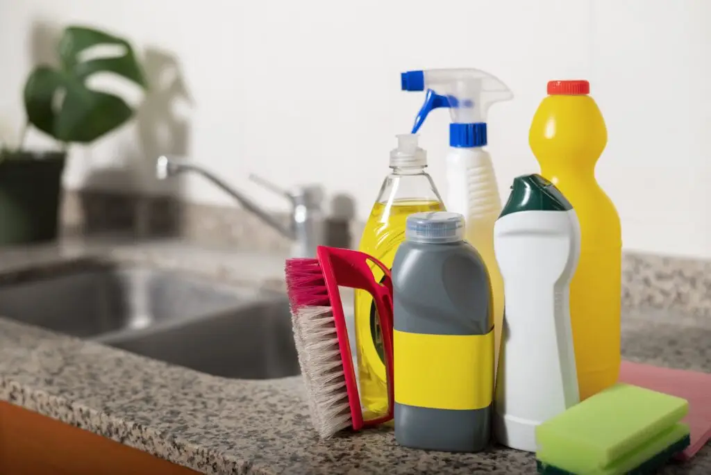 How Often Should You Replace Common Cleaning Tools?