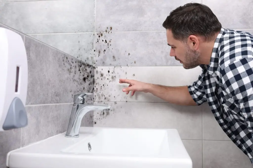 How to Prevent Bathroom Mold With Better Cleaning Habits?